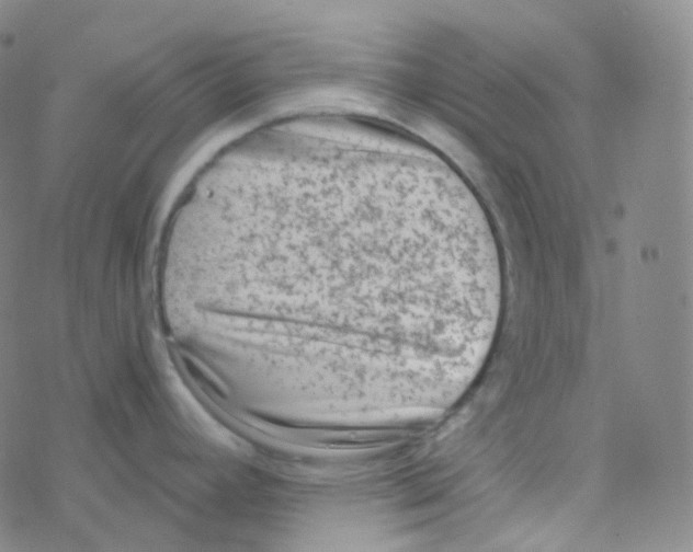 X0000076271392200610262019