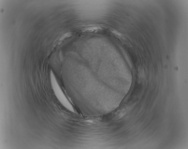 X0000076271394200610262018