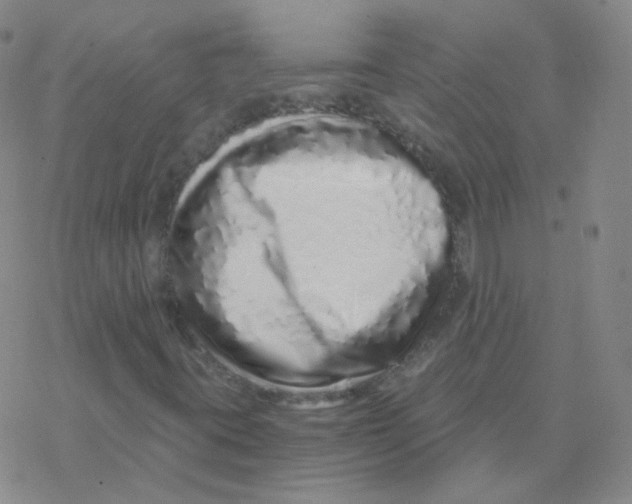 X0000076271395200610262018