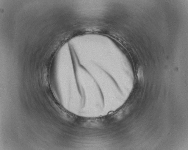 X0000076271396200610262018