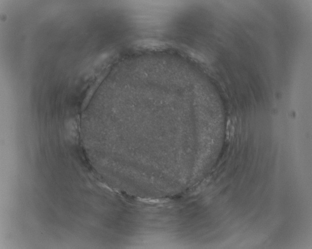 X0000076271397200610262018