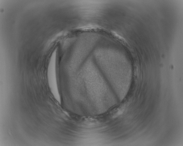 X0000076271398200610262018