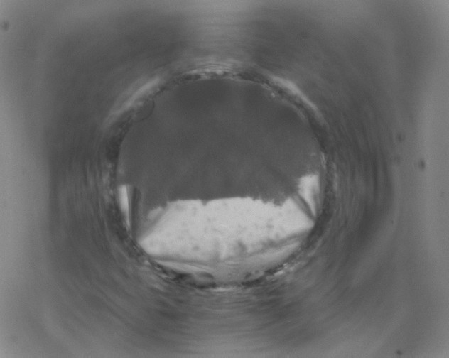 X0000076271399200610262018