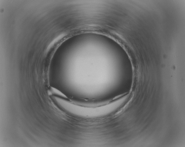 X0000076271402200610262019