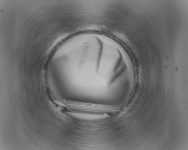 X0000076271404200610262019