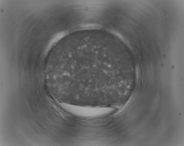 X0000076271405200610262019