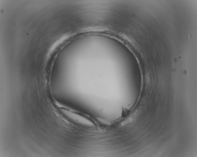 X0000076271406200610262019