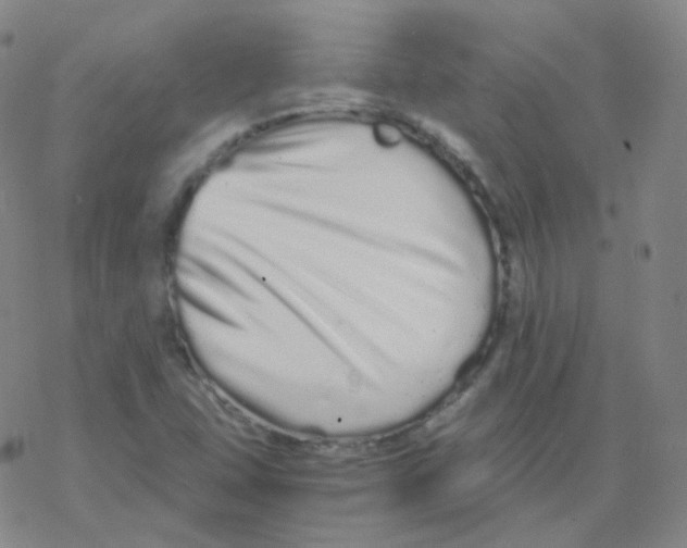 X0000076271407200610262019