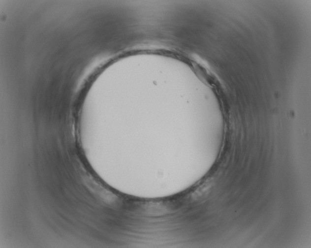 X0000076271408200610262019