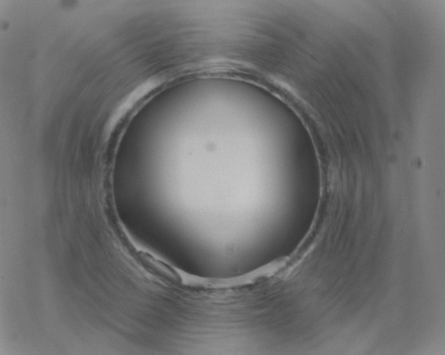 X0000076271410200610262019