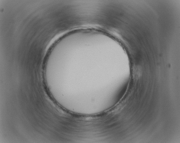 X0000076271412200610262019