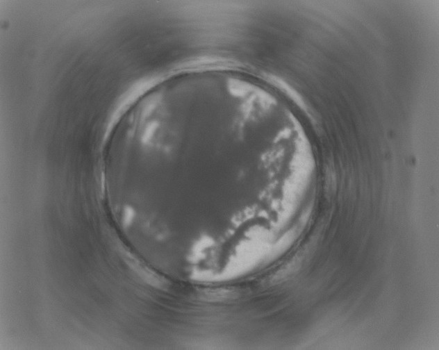 X0000076271413200610262019