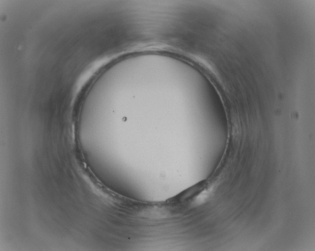 X0000076271414200610262019