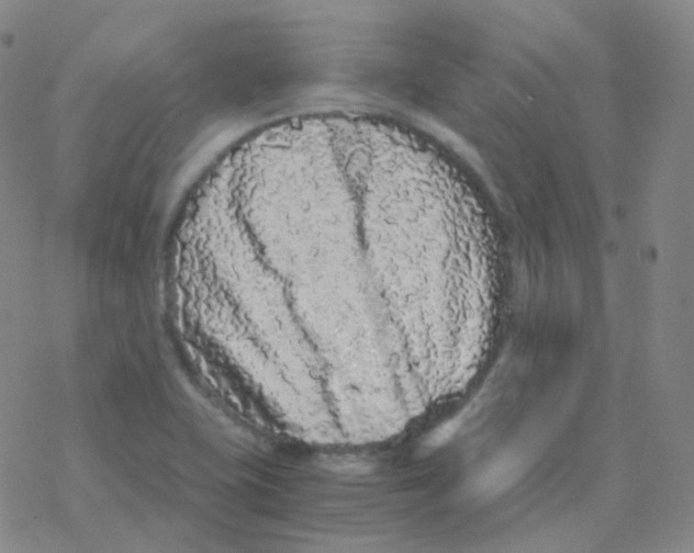 X0000076271415200610262019