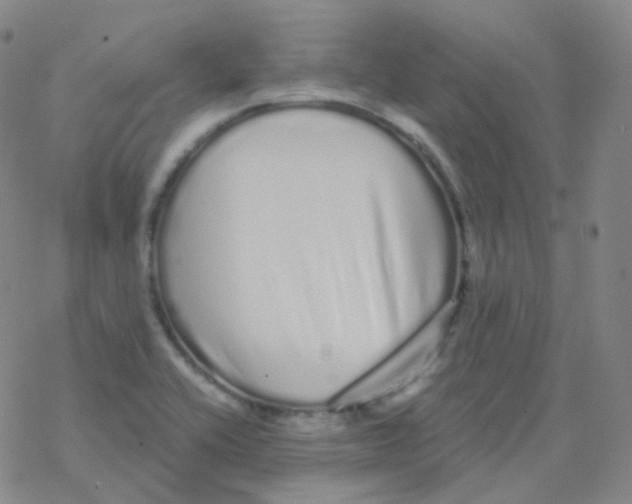 X0000076271416200610262019