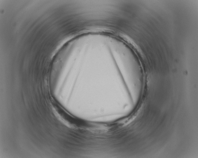 X0000076271417200610262019