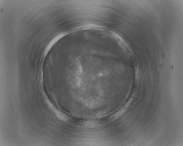 X0000076271418200610262019