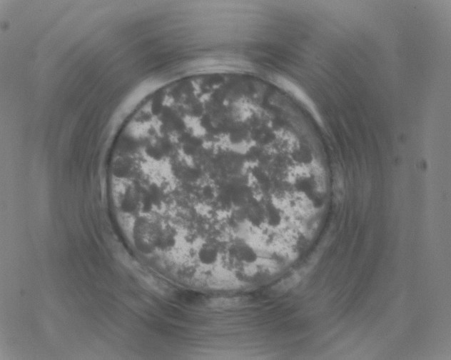 X0000076271419200610262019