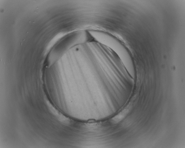 X0000076271422200610262019