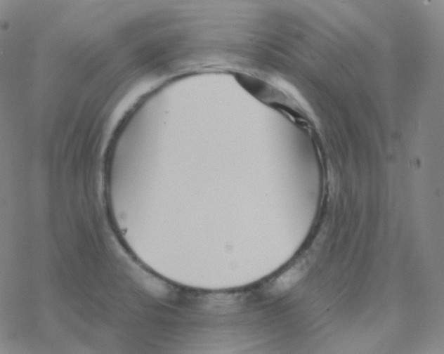 X0000076271424200610262019