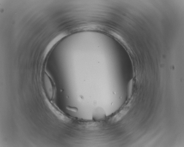 X0000076271426200610262019