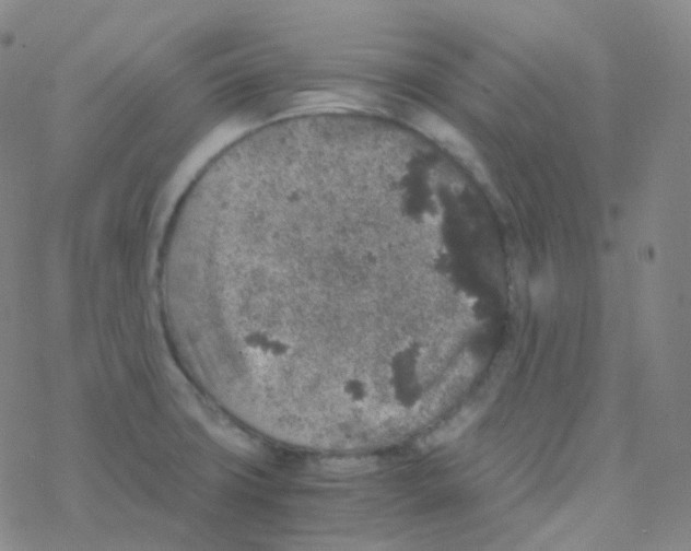 X0000076271427200610262019