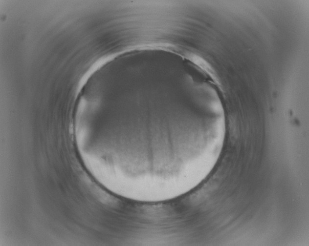 X0000076271428200610262019