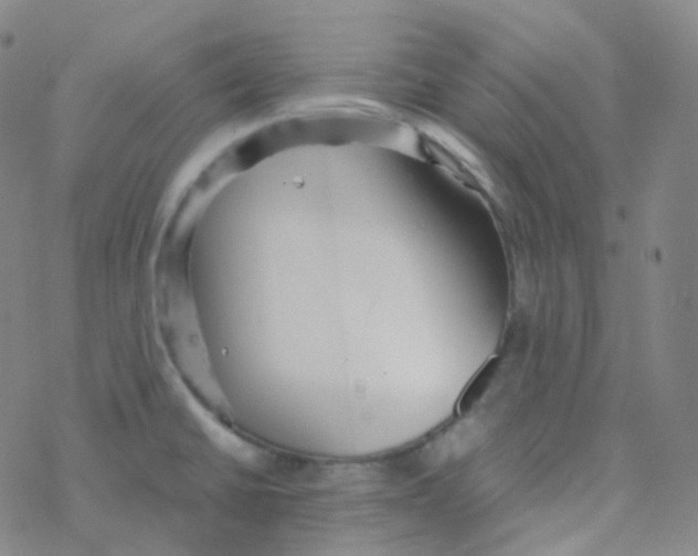 X0000076271430200610262019