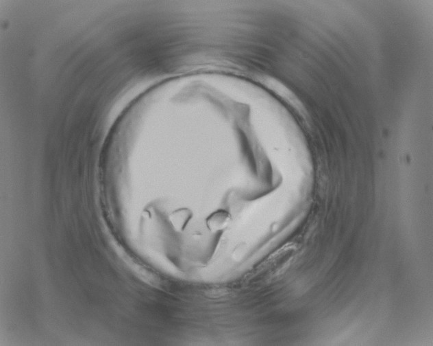 X0000076271431200610262019