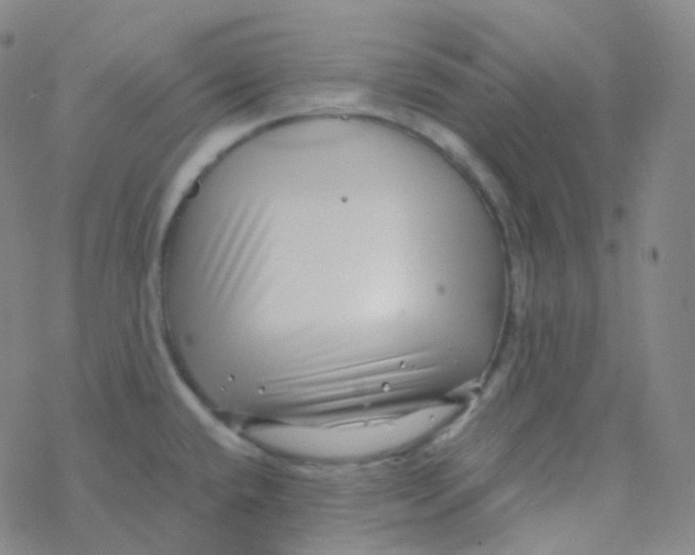 X0000076271432200610262019