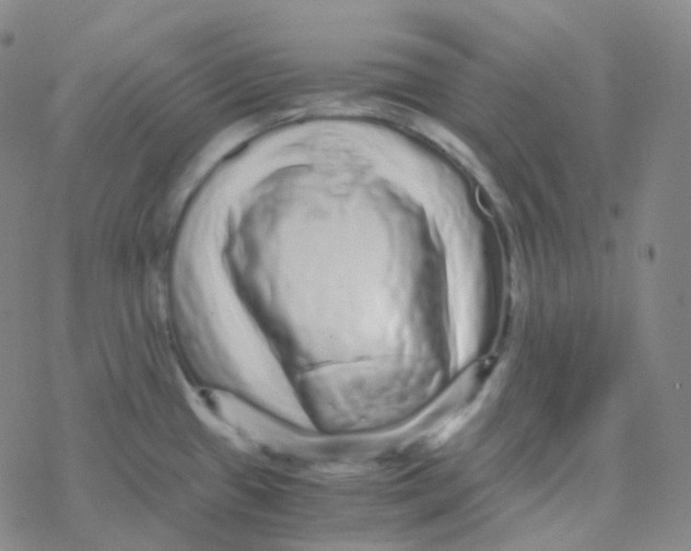 X0000076271433200610262019