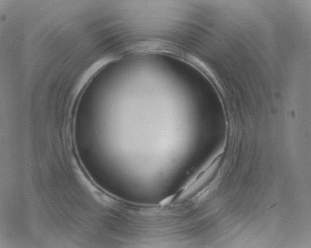 X0000076271434200610262019