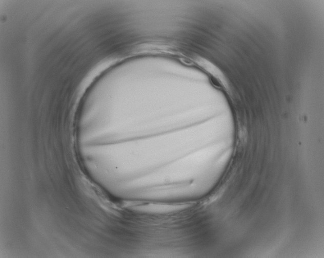 X0000076271435200610262019