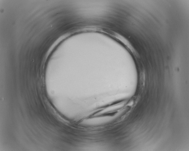 X0000076271436200610262019