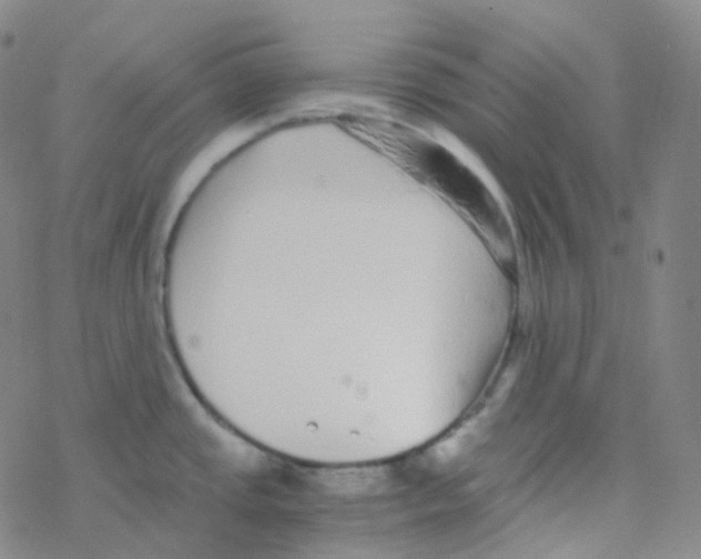 X0000076271437200610262019