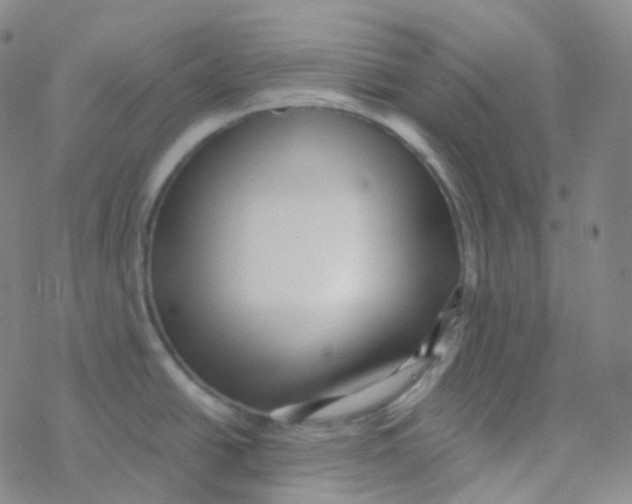 X0000076271438200610262019