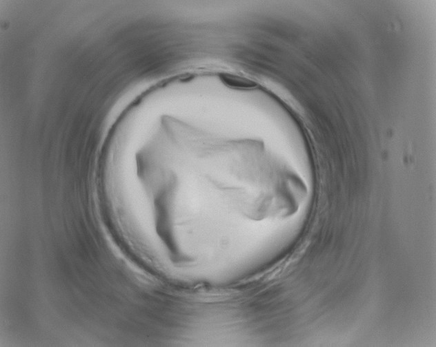 X0000076271440200610262019