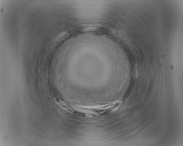 X0000076271441200610262018