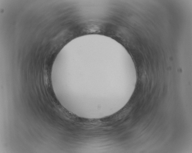 X0000076271442200610262018