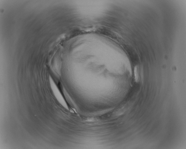 X0000076271443200610262018