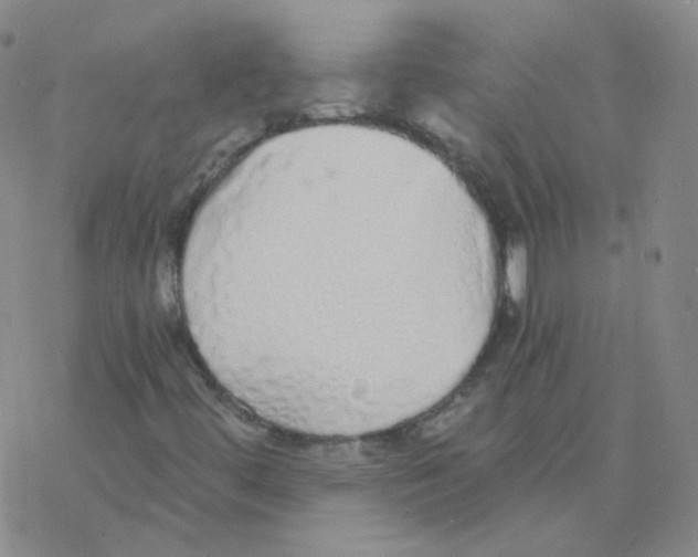 X0000076271444200610262018