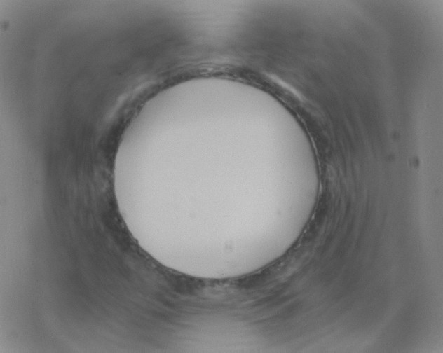 X0000076271447200610262018