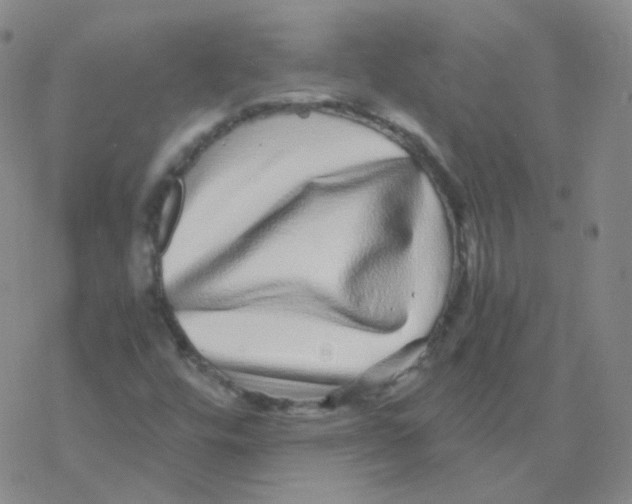 X0000076271448200610262018