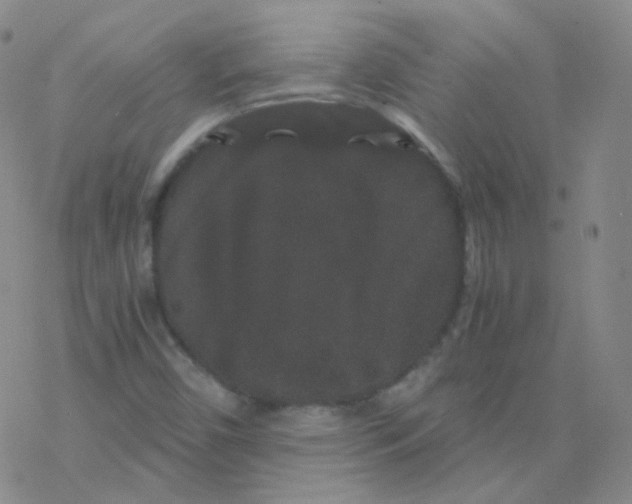 X0000076271450200610262018