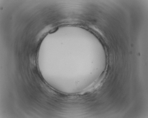 X0000076271451200610262018