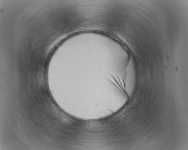 X0000076271452200610262018