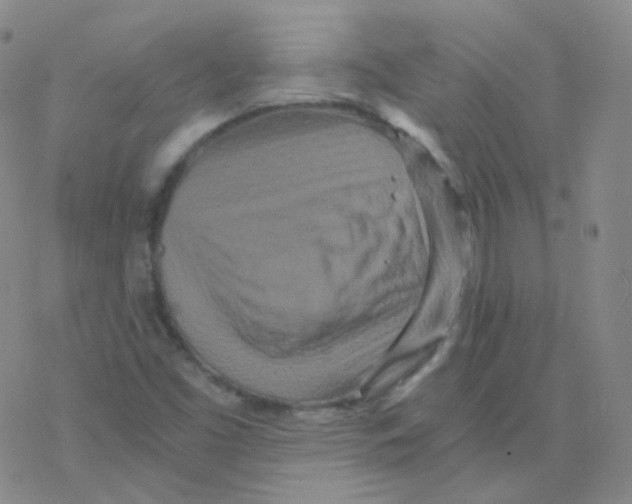 X0000076271453200610262018