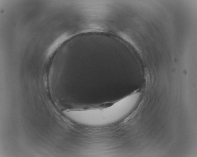 X0000076271455200610262018