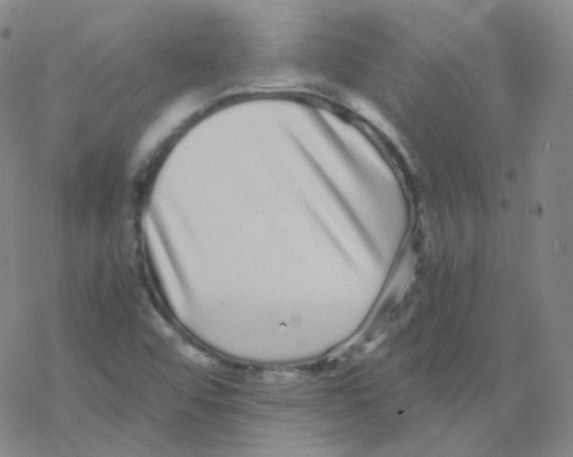 X0000076271456200610262018