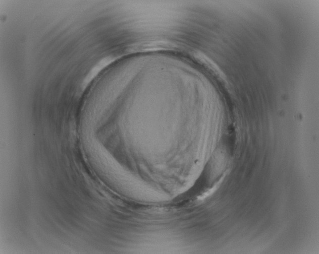 X0000076271457200610262018